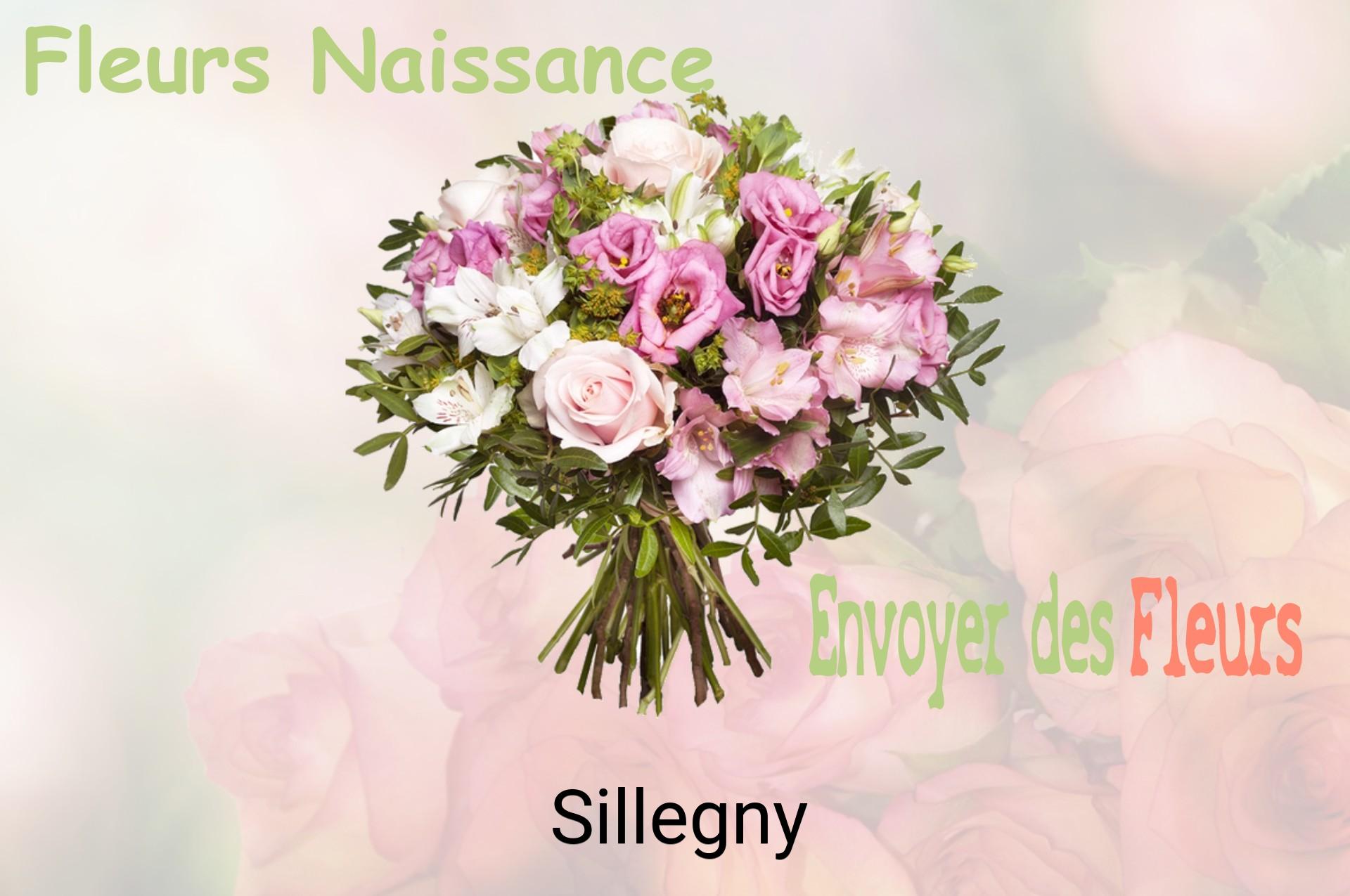 Bouquet de fleurs de naissance livré à Sillegny